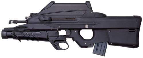   () FN Herstal F2000. .  ..   .   .